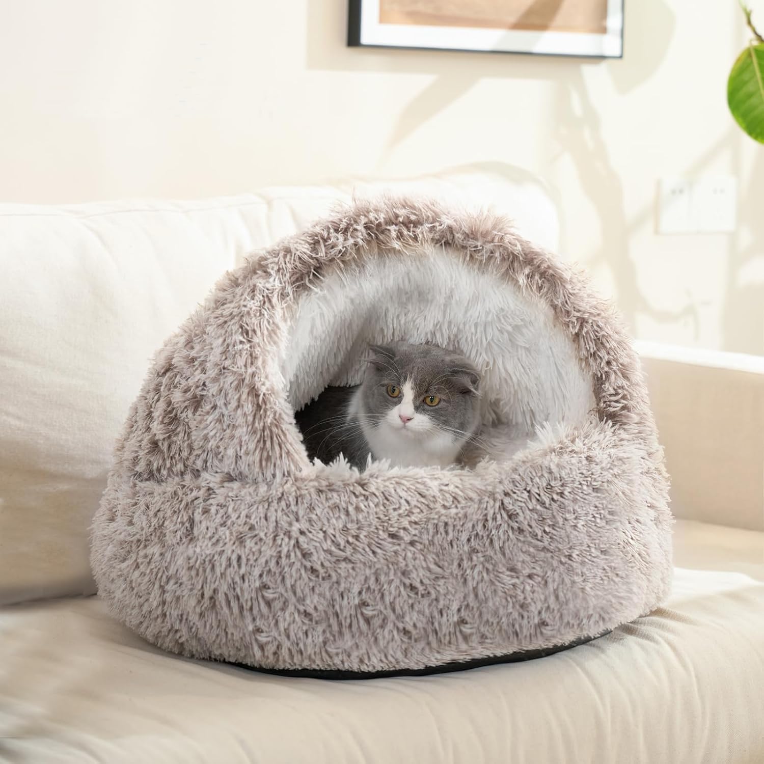 سرير قطط من دوركو بغطاء راس من القطيفة للاماكن الداخلية، عش قطط مهدئ، كهف سرير للقطط ذاتي الدفء، وسادة قطط مريحة للكلاب الصغيرة، كوف قابل للازالة والغسل مع قاعدة غير قابلة للانزلاق