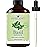 Handcraft Blends Basil Essential Oil - Huge 4 Fl Oz - 100% Pure and Natural - Premium Grade Essential Oil for Diffuser and Aromatherapy, Skin, Massage, Candle and Soap Making Fragrance