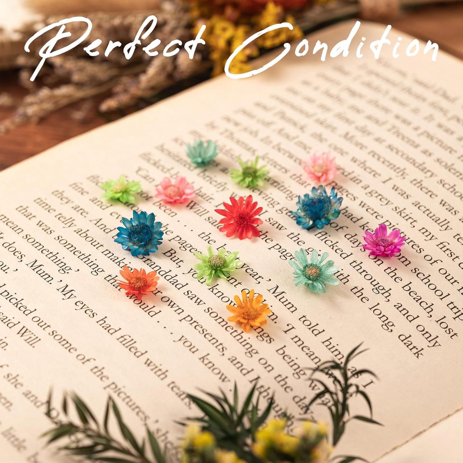 1700 PCS Bulk Tiny Dried Flowers for Resin - Small Dried Flowers for Crafts, Natural Real Mini Dried Pressed Flowers for Jewelry Earrings Epoxy Molds, Candles Making, Soap Making, Nail Art