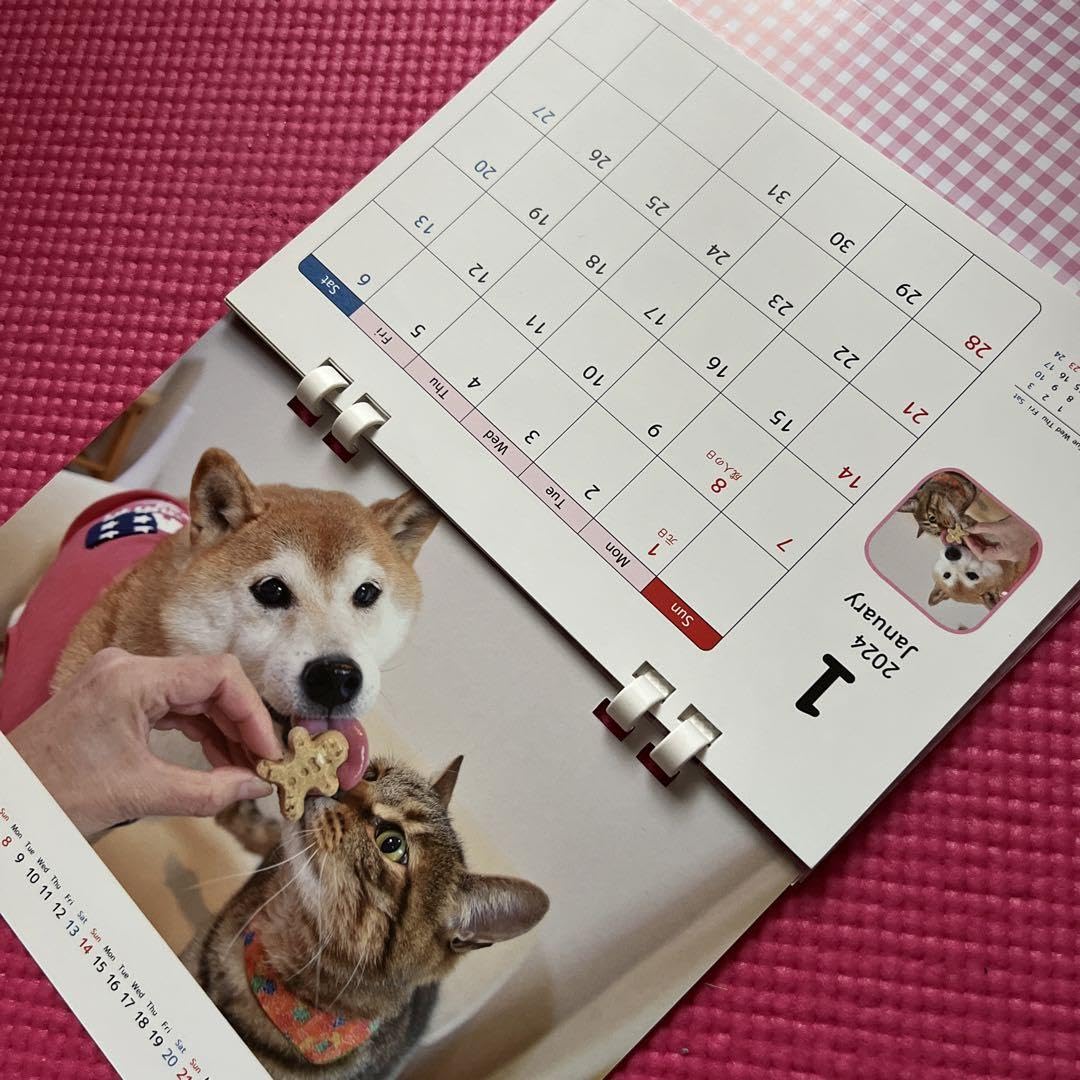 ウルトラプロ　doge スリーブ ultra pro かぼすちゃん 柴犬 ウルトラプロ doge スリーブ ultra pro かぼすちゃん 柴犬