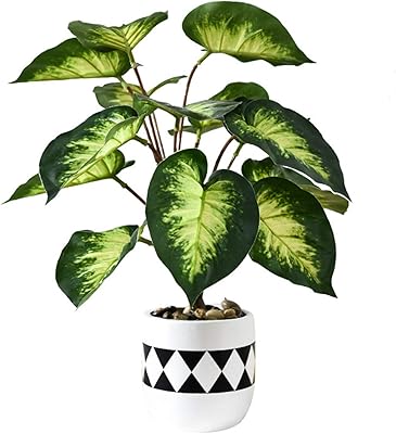 Amazon 人工観葉植物 モンステラ柄 ハワイ フェイクグリーン 中型 ミニ リアル お世話のいらない 防水 土なし 卓上 室内 寝室 おしゃれ 装飾用 プレゼント 新生活 新年 出産祝い 母の日 緑色 40 28cm 人工観葉植物 オンライン通販