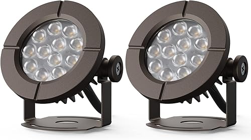 GOODSMANN Luces de estanque de bajo voltaje para exteriores, foco LED sumergible bajo el agua, luces sumergibles 2PK 6W 580 lúmenes 3000K IP68 con