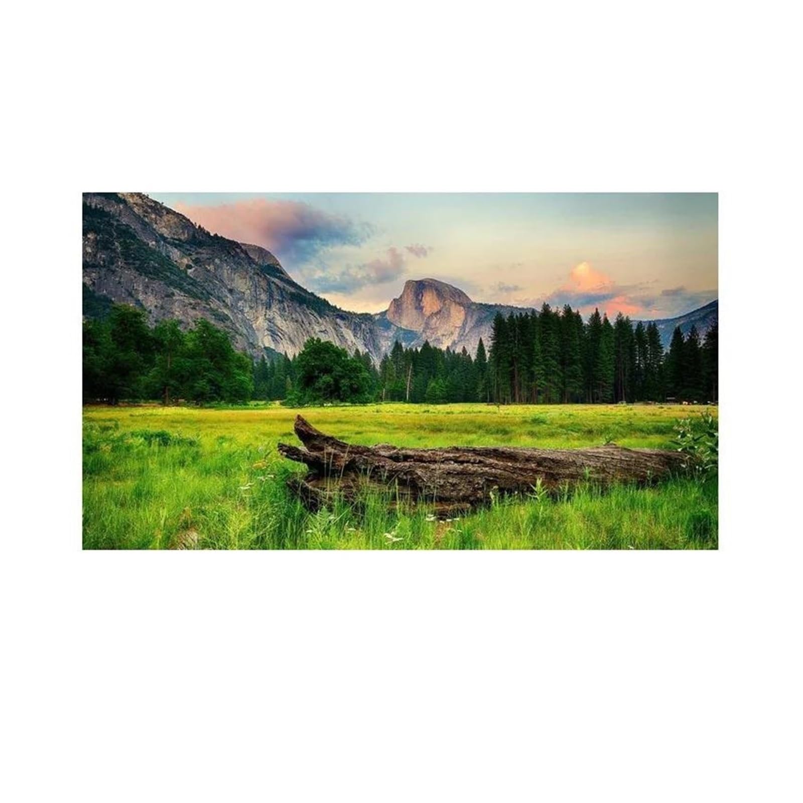 BYAMBD Aesthetic Pictures Nature Landscape Posters No Frame Forest Sunshine Prints Canvas Painting Wall Art Picture For Living Room Decoration(H,30x40cm)