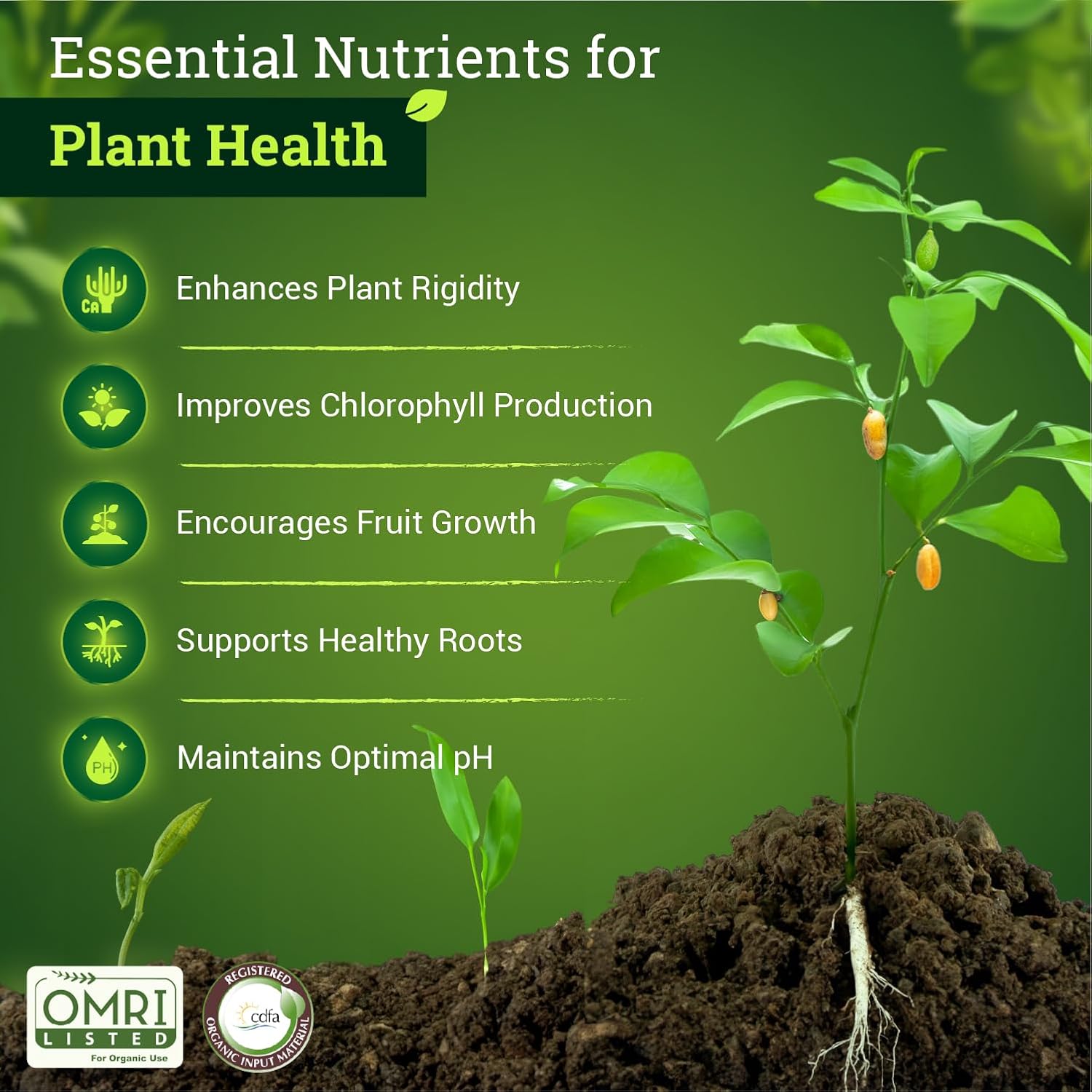 FoxFarm BushDoctor Cal-Mag - Liquid Calcium & Magnesium Supplement, Prevents Blossom End Rot & Tip Burn - Formula with 3% Calcium, 0.9% Magnesium for Gardening- NPK 1-0-0 (Pint) - Image 3