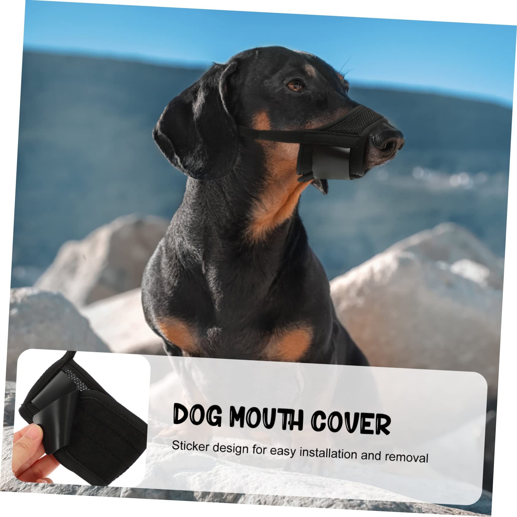 BESPORTBLE 5pièces Muselière Respirante pour Chien Ajustable Et Confortable Protège Morsures Aboiements pour Petits Et Moyens Chiens