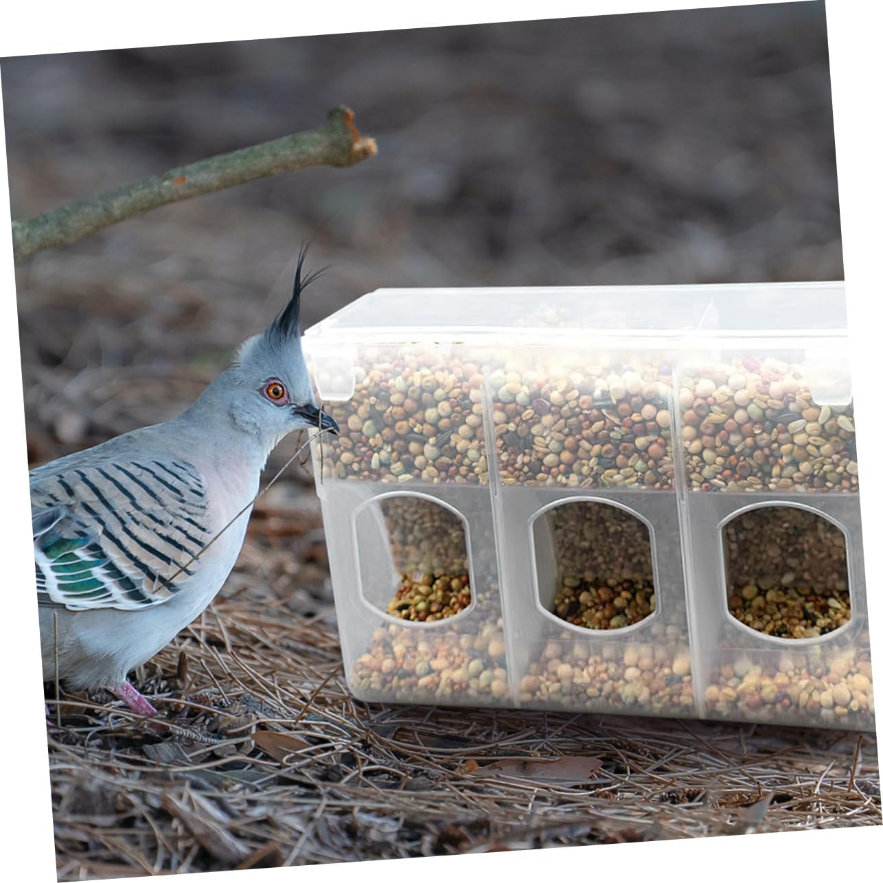 Mipcase 2pcs Bird Feeding Watering Supplies Pigeon Feeder Hanging Bird Feeder Sift Bowl Easy to Use and Install for Backyard Birding