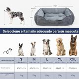 Ver la foto 7