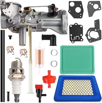 498298 Carburetor for BS 492611 692784 495951 490533 495426 5HP
