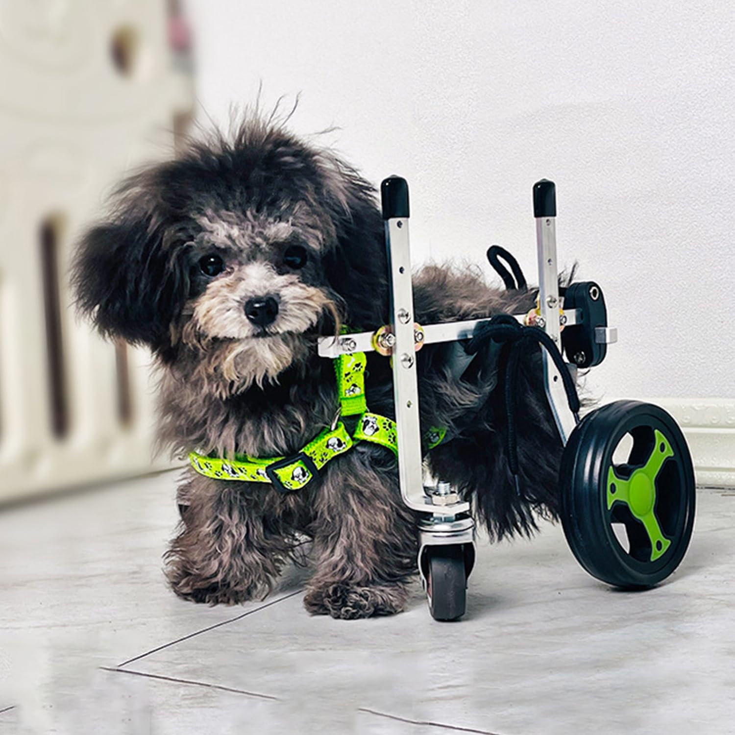 Hunderollstuhl,ZweiräDrige RollstüHle,Verstellbarer Rollstuhl FüR Kleine Haustiere Mit Hinterbeinen,Rehabilitation Der Beine Bei Alterung,Verletzung,Arthritis,Schwacher Hund/Katze/Haustier(XS,Two whee