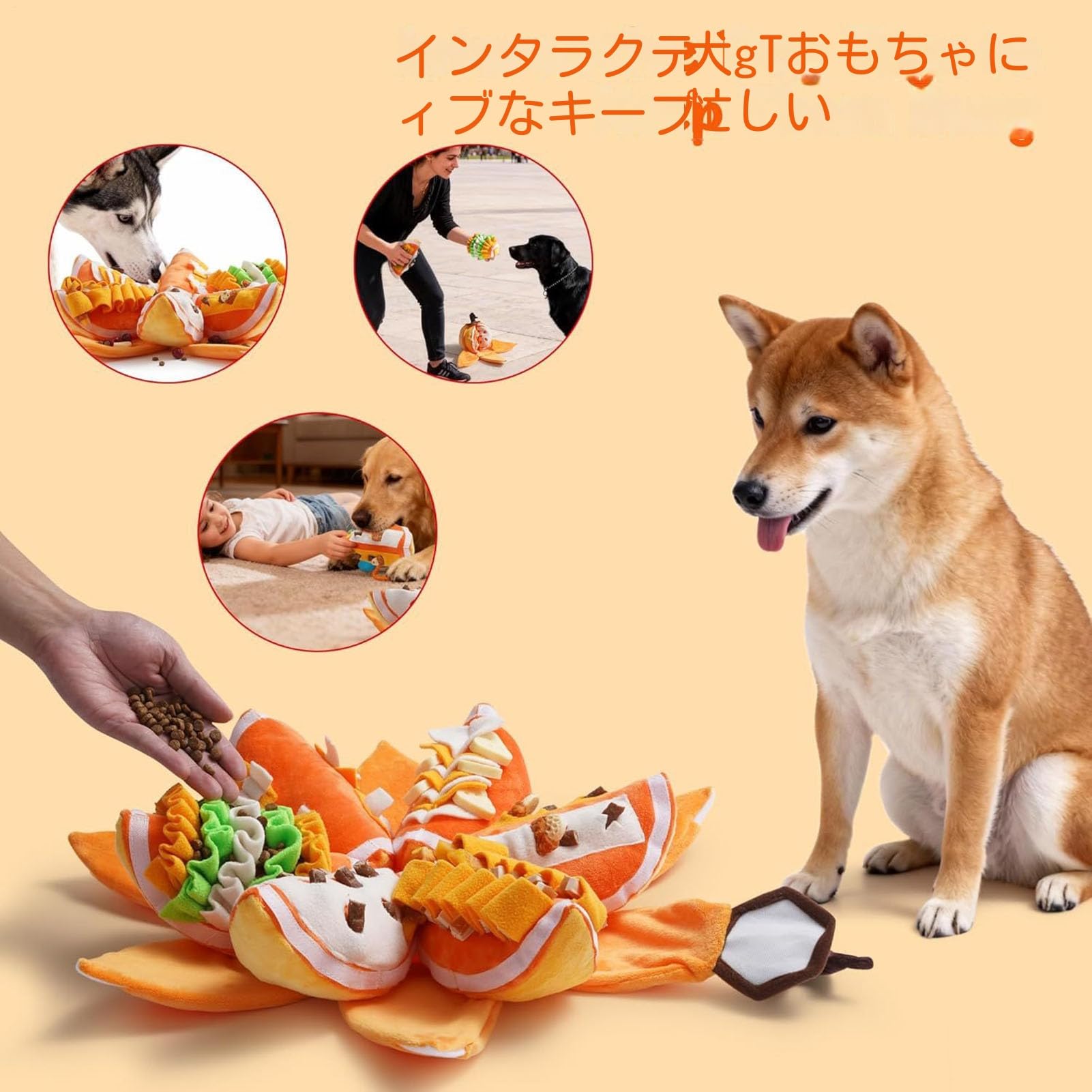 Amazon | Zibeem 犬用 スクイーキー おもちゃ トイ - 柔らかい