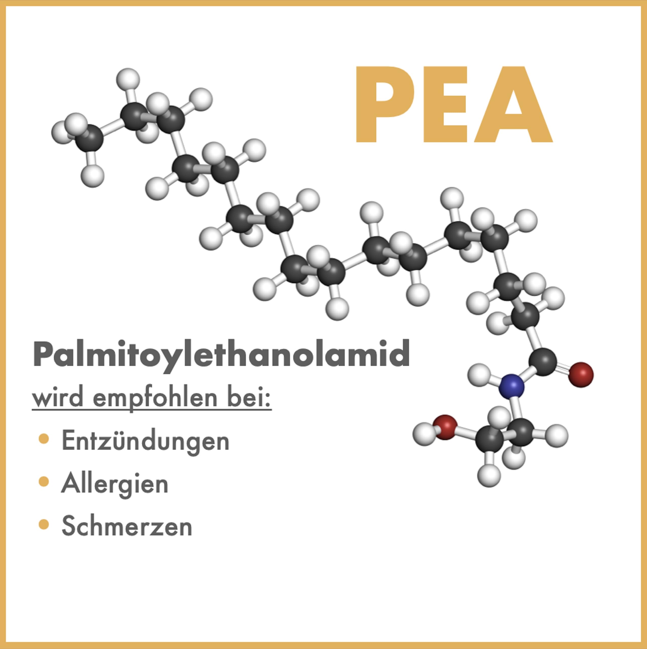 Immune | Booster zum Immunsystem stärken und modulieren, für Immunobalance | PEA und EPA in hoher Konzentration | bei Juckreiz, Allergien und Immun Problemen verträglich | Liquid mit 60 ml