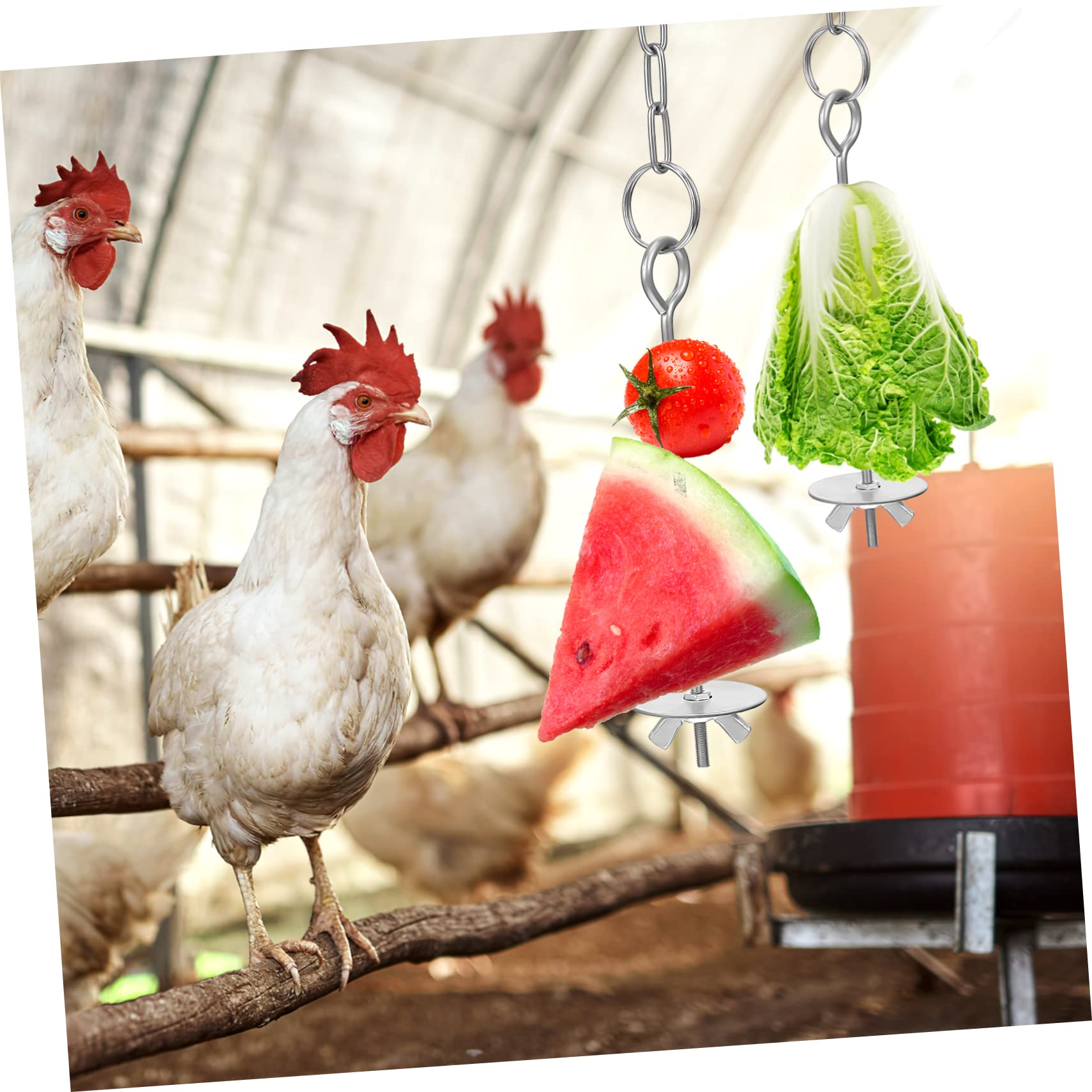 Mipcase Mangiatoia da Appendere per Pulcini e Galline, 4 Pezzi, in Acciaio Inox, Catena Regolabile, Facile da Appendere in Gabbia