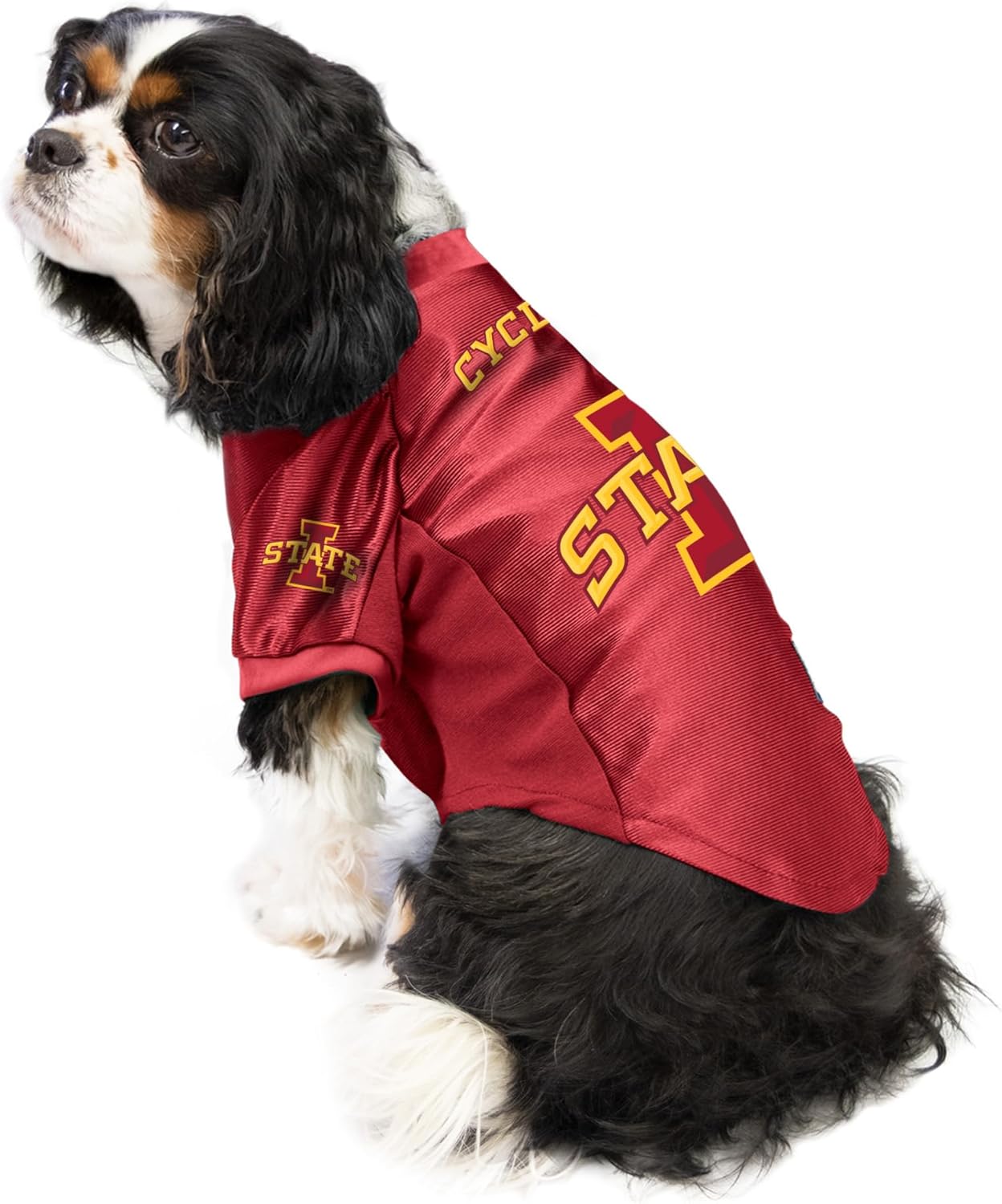 Littlearth NCAA Stretch Pet Jersey