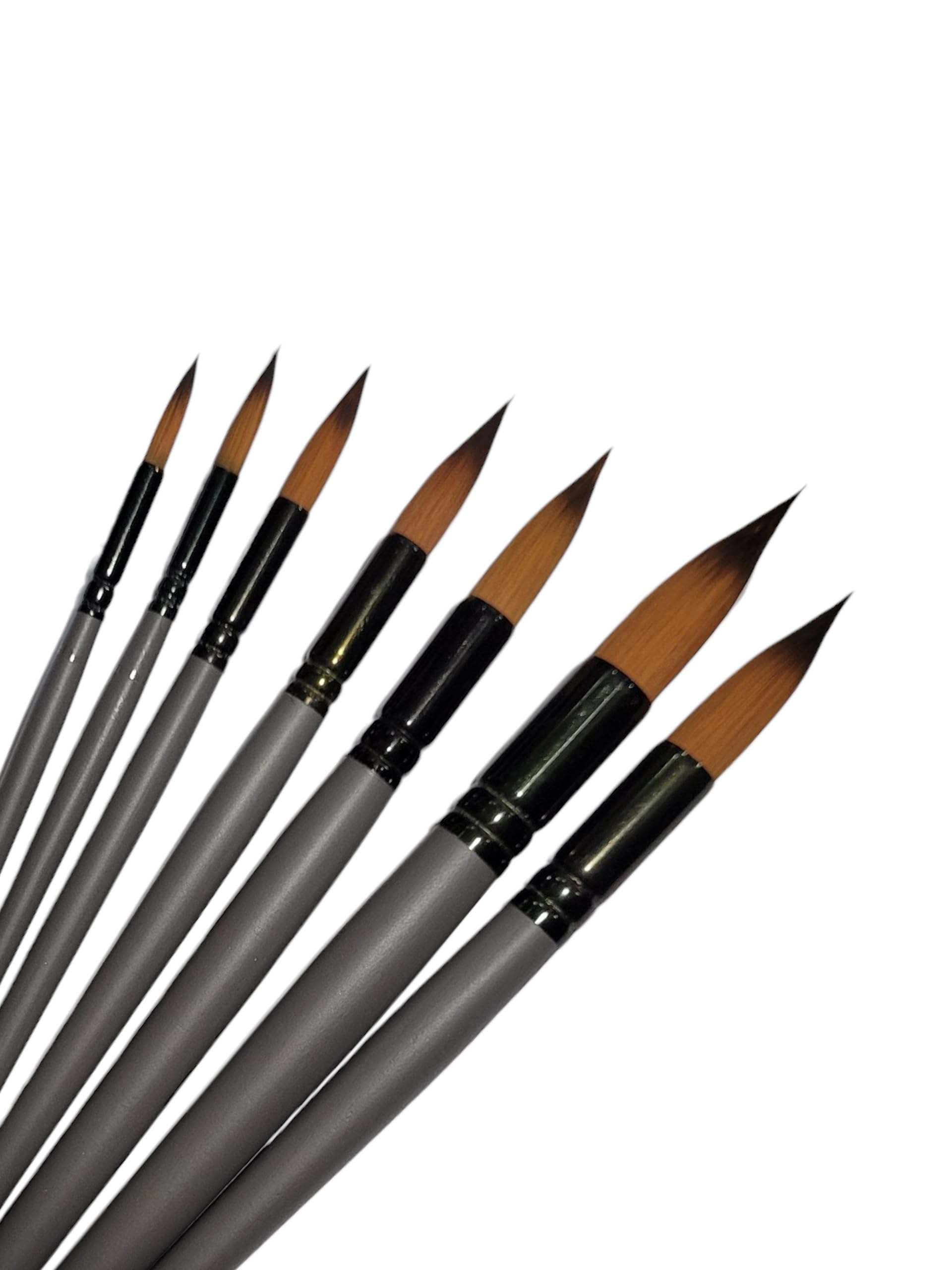 Definite Art Painitng Mop Brushes for Good Water Hold Capacity Large Coverage Area Long Storkes (Sizes- 1,2,4,6,8,10,12) Set of 7 Pcs with Plastic Case 2