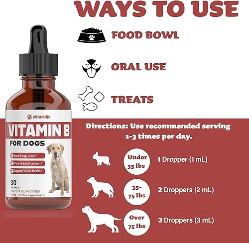 Miniatura 6 de Vitamina B para perros  Complejo de vitamina B para perros  Vitamina B12 para perros  Vitaminas para perros  Vitaminas B12 para perros  Suplementos