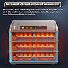 Egg Incubator EggIncubators for Hatching Eggs, Smart Incubator for Eggs Automatic Turning, Humidity Control, Temperature Control, Incubators for Hatching Chicken