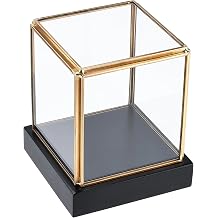 HighFree Clear Glass Display Case, Vintage Gold Glass Display Box Showcase with Black Solid Wooden Base, Square Clear Keepsake Box for Hobby Collectibles, 3.6x3.6x3.9 Inch