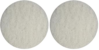 BISSELL BigGreen Commercial 437.051BG Polish Pad for BGEM9000 Easy Motion Floor Machine, 12", White Pack of 2