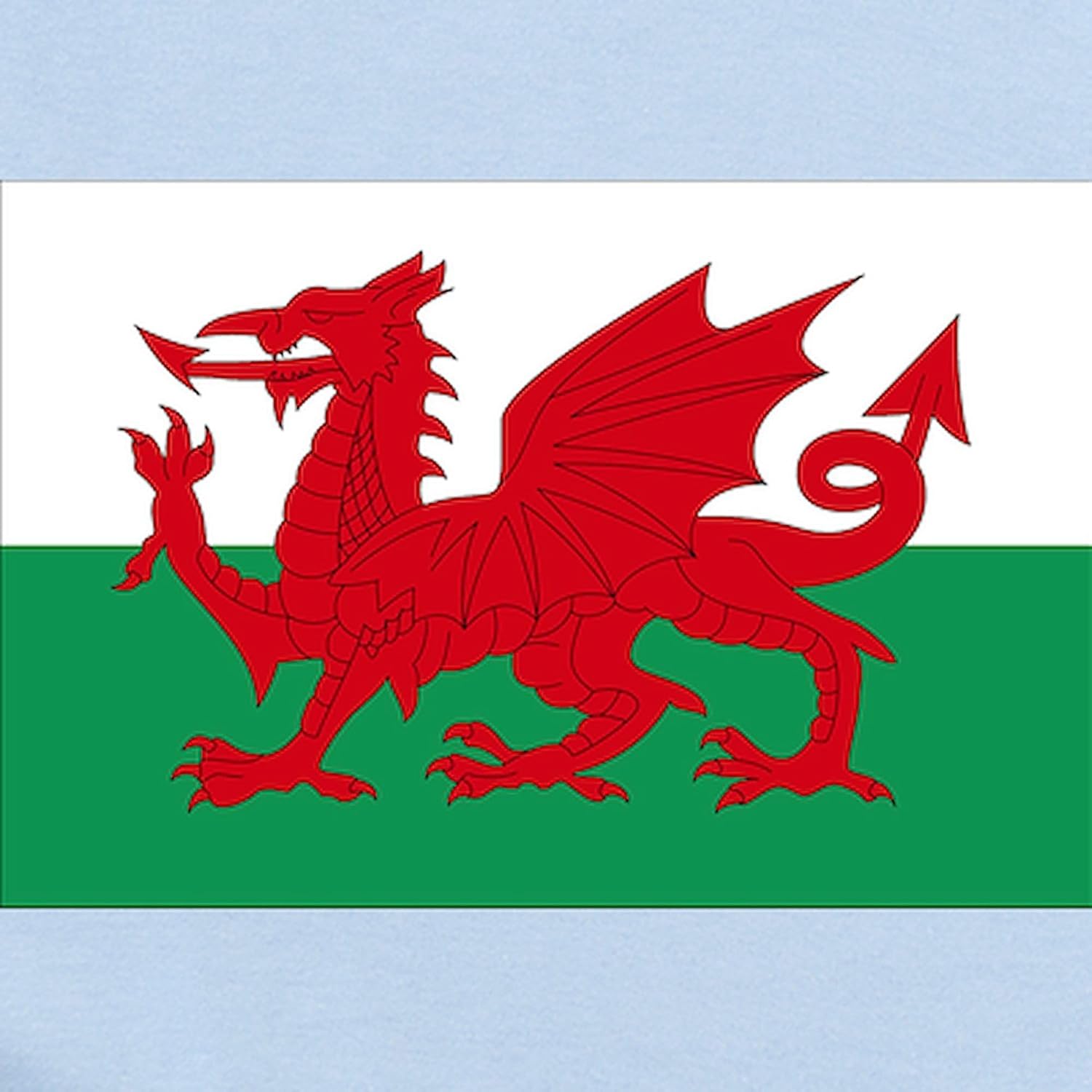 CafePress Welsh Red Dragon Infant Bodysuit Cute Infant Bodysuit Baby Romper