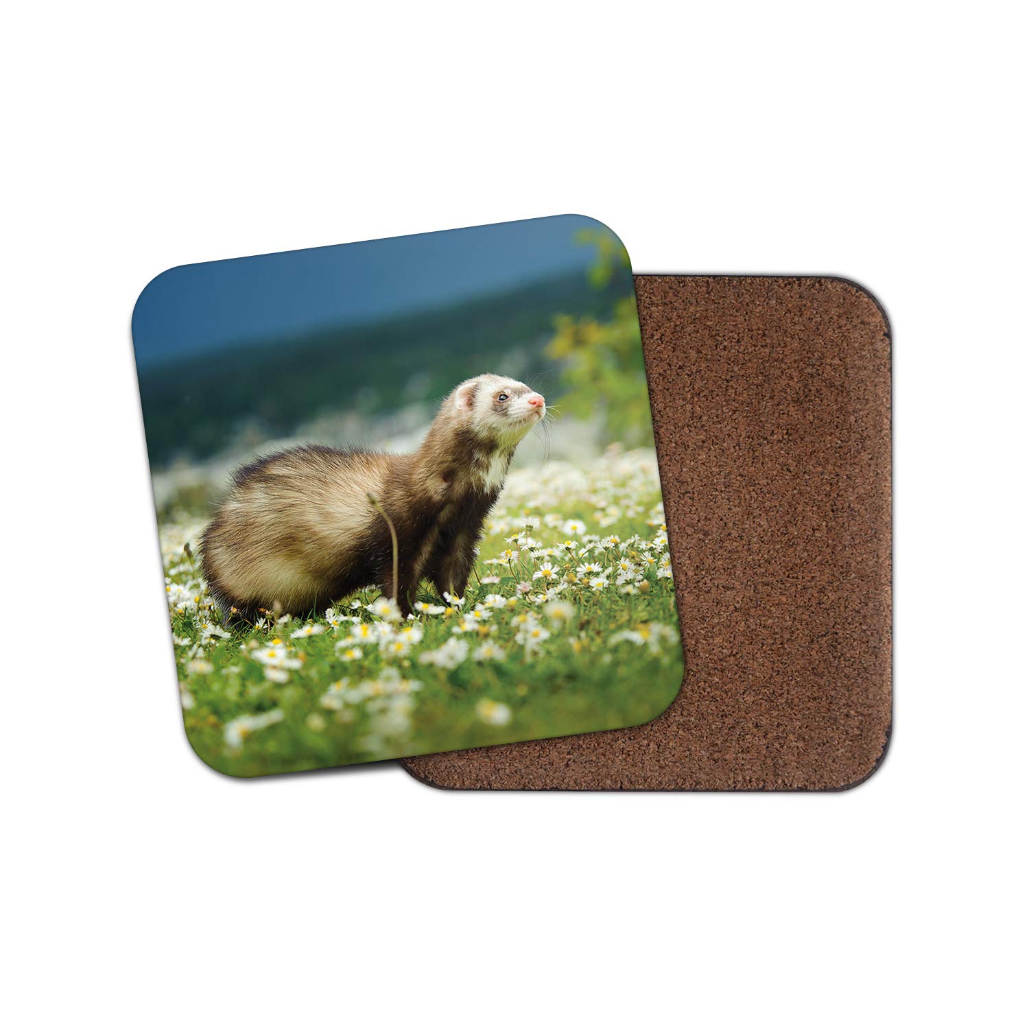 Destinationvinyl Men's Multicolor 1 X Beautiful Ferret Coaster - Polecat Pet Dad Brother Uncle Cute #12528