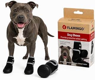 Flamingo Scarpe Laky 2 pzs Nero XXL 7,1x7,3cm