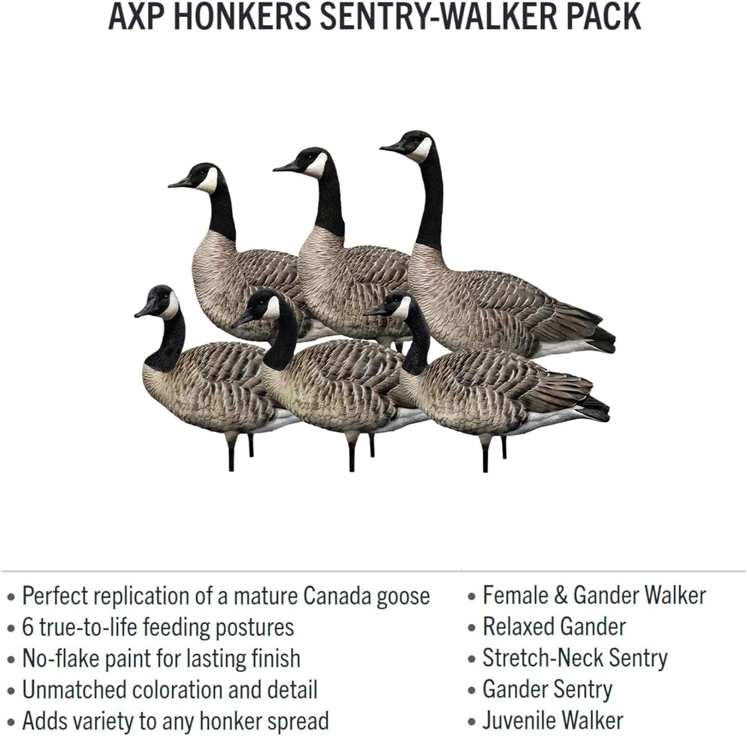 Avian-X AXP Specklebelly Decoy Fusion Pack with Lasting Finish and Custom Fitted Bag for Hunting Use, Outdoor Sports, and Recreation, 12 Pack