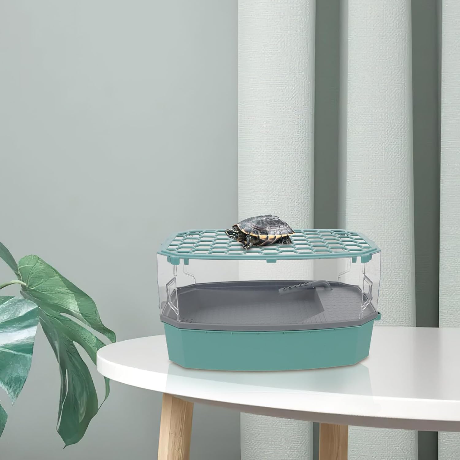 BESPORTBLE Turtle Tank with Lid Small Blue Plastic Reptile Habitat with Basking Platform Turtle Breeding Aquarium Home Use