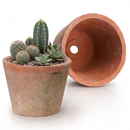Maxdot 2 Pcs Aged Terracotta Pots 4'' x 3'' Rustic