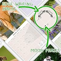 Vista 160 de Razas de Perros 2017