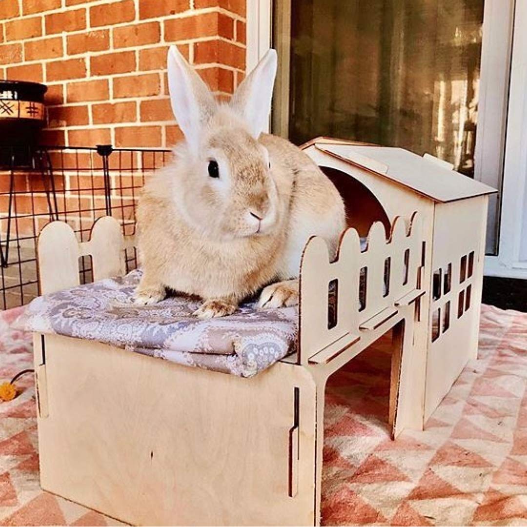 Tokihut Wooden Rabbit House Hideout Hideaway and Playhouse
