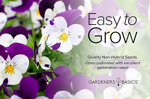 Miniatura 4 de Violet, Johnny Jump Up - Semillas de flores para plantar, paquete de semillas de flores anuales de polinización abierta, variedad sin OMG, semillas