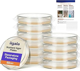 Schimmeltest-Set für Zuhause - 10 einfache Erkennungstests, Testen Sie HVAC-System, Oberflächen im Haus und Luftqualitätstest-Sets, DIY-Schimmeldetektor für Zuhause, inklusive detaillierter