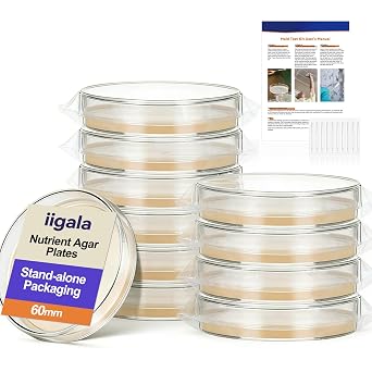Mold Test Kit for Home 10 Simple Detection Tests HVAC Indoor Air