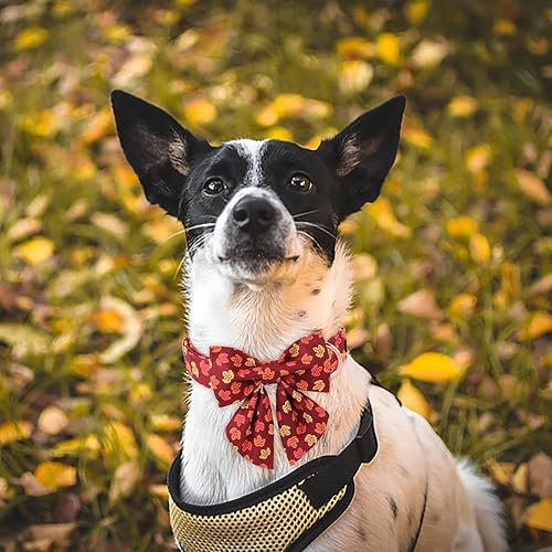 Miniatura 4 de Maca Bates - Collar de perro de otoño con pajarita para perros, corbatín de marinero ajustable, lindos accesorios de regalo de otoño para cachorros