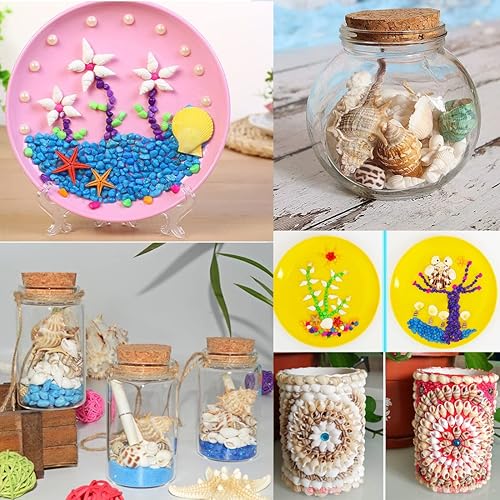 Miniatura 5 de 135 conchas marinas mixtas de playa, conchas marinas de playa, conchas naturales de varios tamaños para manualidades, fabricación de velas, fiesta