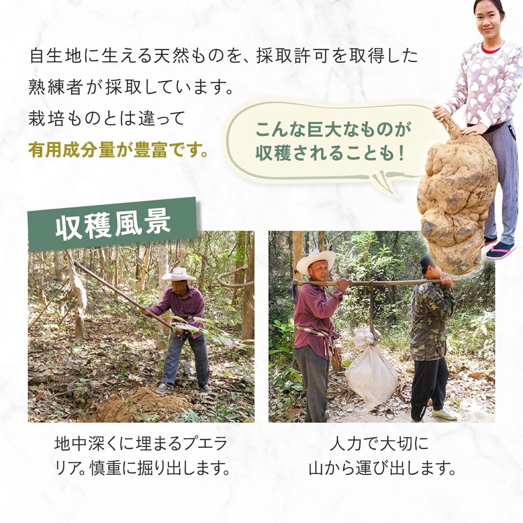 Amazon.co.jp: プエラリア マチュレ・モア 100㎎ 純天然 プエラリア