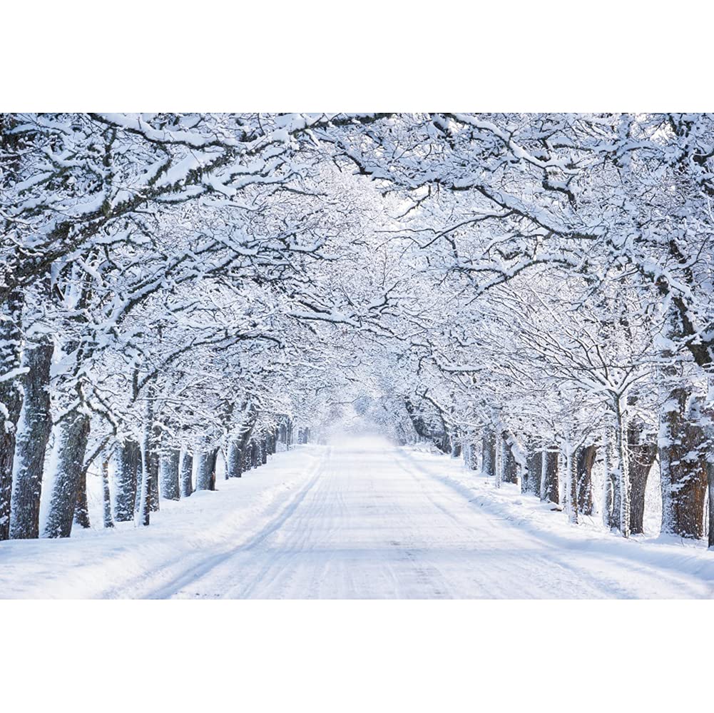 Renaiss 2.2 x 1.5 m White Snow Scene Background Winter Trees Landscape Street Photography Background Christmas Party Decorations Child Adult Portrait Shooting Photo Studio Props