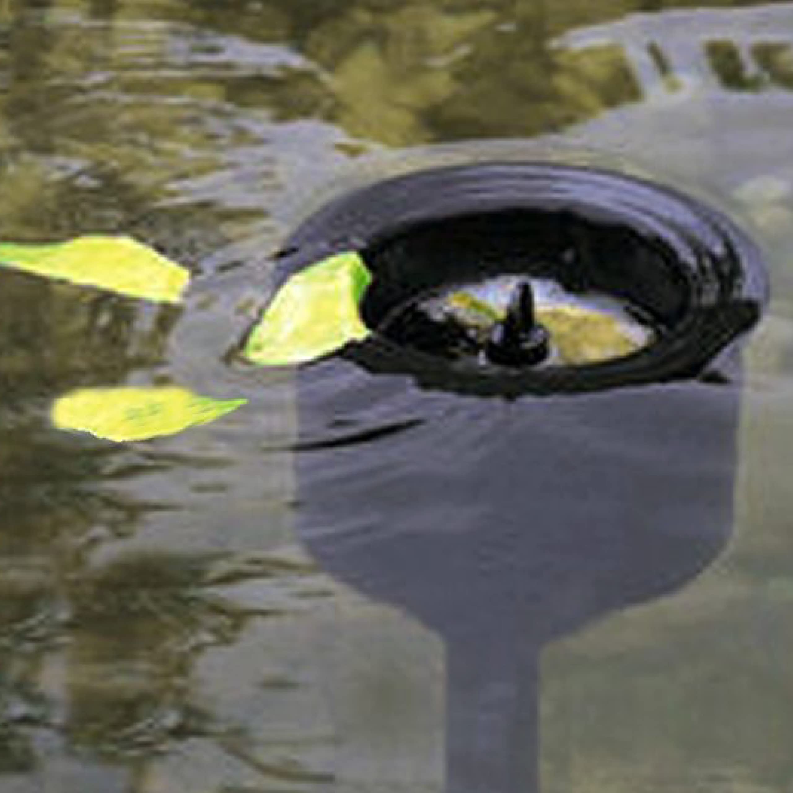 Aquaforte Écumeur Flottant Sur Support, Débit 4,5 m³/h, Hauteur 63 cm, Surface 10 m²