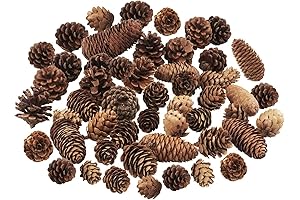 Pine Cones Ornaments for Christmas Tree - 40 Piece Pine Cones Bulk Variety Pack
