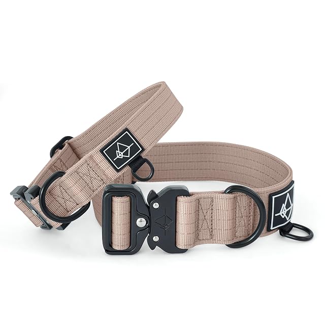 Foto 2 de 8 de Made to ROAM - Collar de perro de alta calidad, ajustable, de nailon resistente con hebilla metálica…