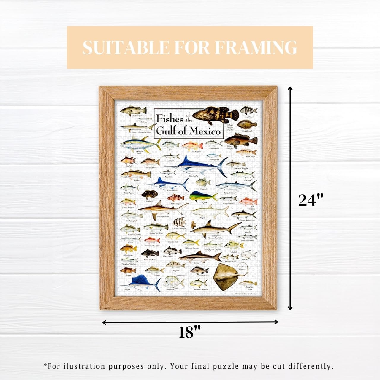Heritage Puzzle - Fishes of The Gulf of Mexico by Diane Peebles - 550 Piece Puzzles for Adults - Ocean Wildlife Jigsaw Puzzles - Coastal Scene Puzzle - 18" x 24" Finished Size