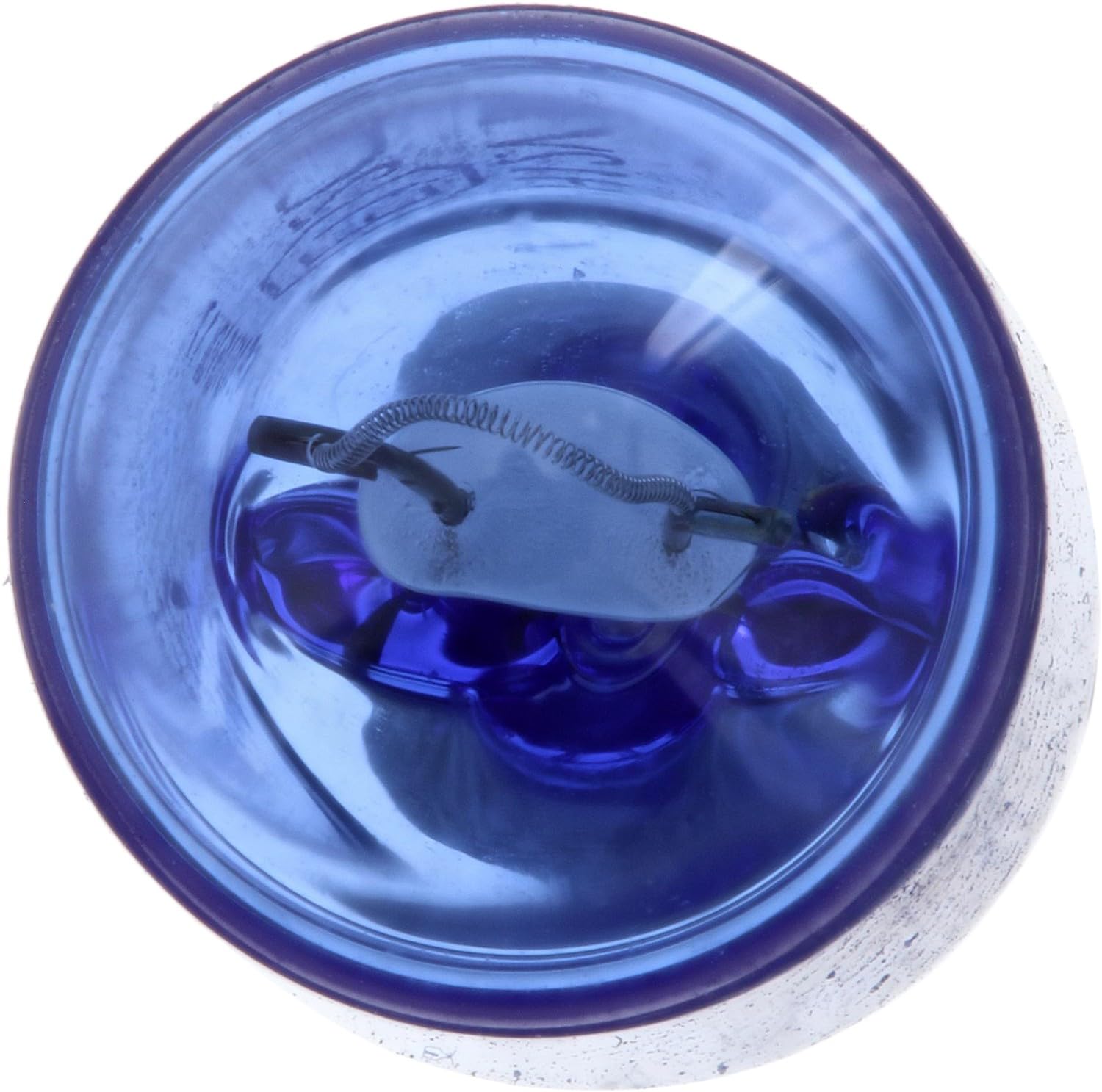 Amazon.com: PartCatalog Fog Light Bulb Compatible With Tesla  