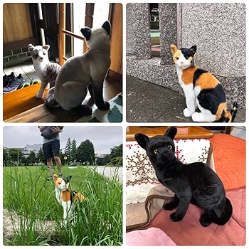 リアル猫と犬 81wpklJe+uL._UF350,350_QL80_.jpg