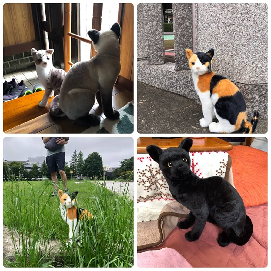 猫猫♥夏の大特価❤️セーラーが可愛い美しいお顔のドイツアンティークドール Amazon.co.jp: Tiger Tale Toys (タイガーテールトイズ) ねこ 猫