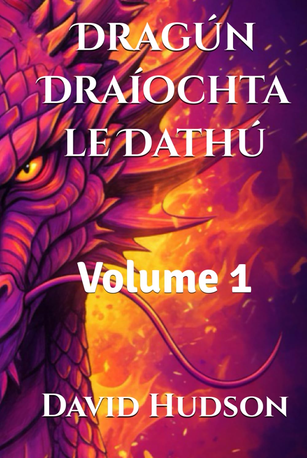 Dragún Draíochta le Dathú: Volume 1 (Draic Mhagicí le Dathú: 3 Imleabhar le Cinn Draic Mhionchruinnithe do Dhaoine Fásta agus do Leanaí)