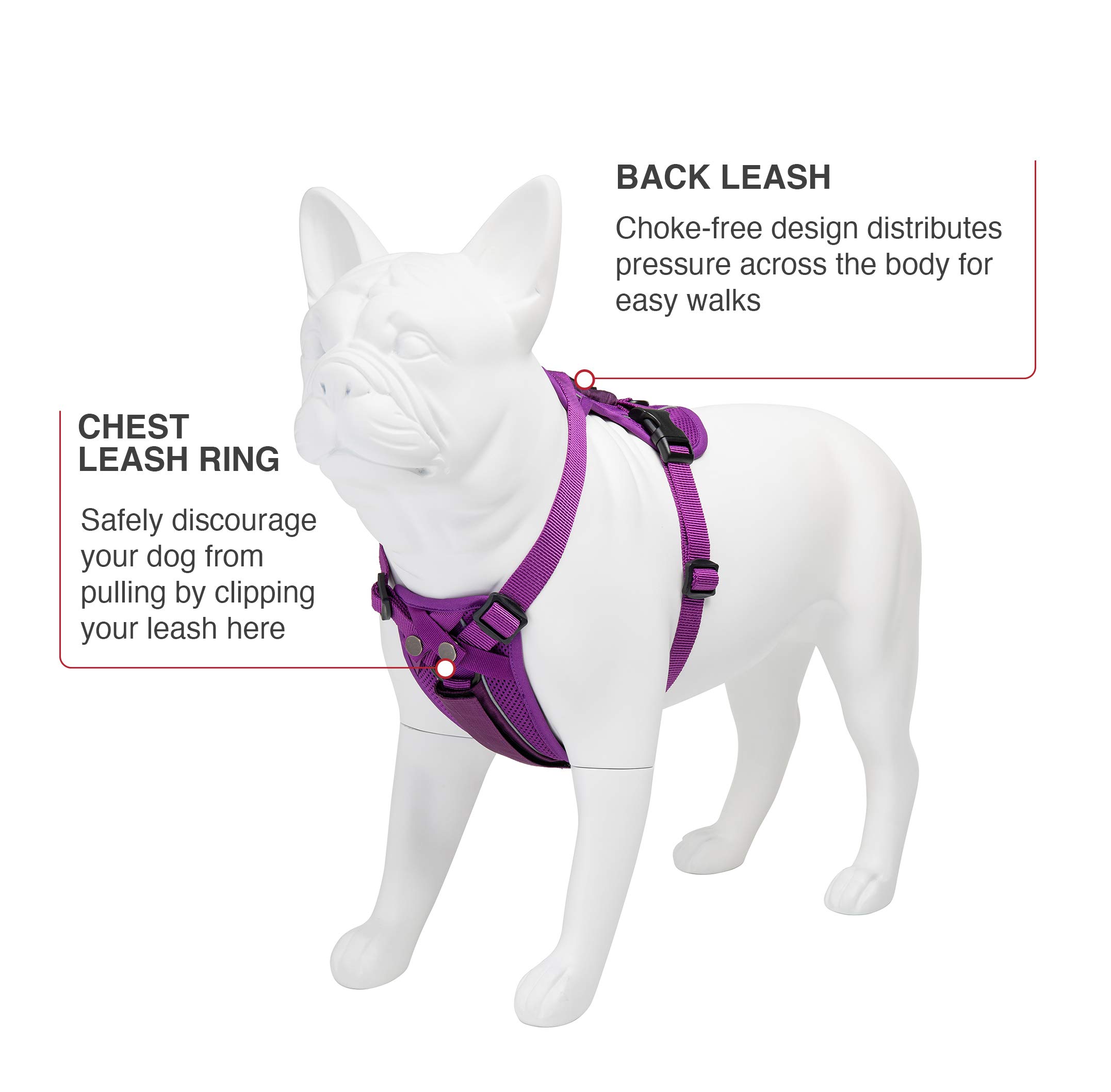 How To Make A Dog Harness Out Of bing