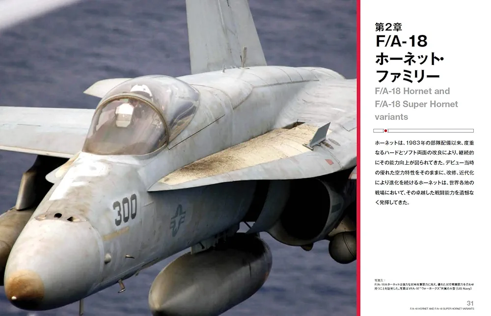 【中古】 Ｆ／Ａー１８Ｈｏｒｎｅｔ２．０完全操縦法 戦闘機シミュレーションのリアルファイトを極める/ＨＢＪ出版局/白鳥敬 F／Aー18Hornet2．0完全操縦法 戦闘機