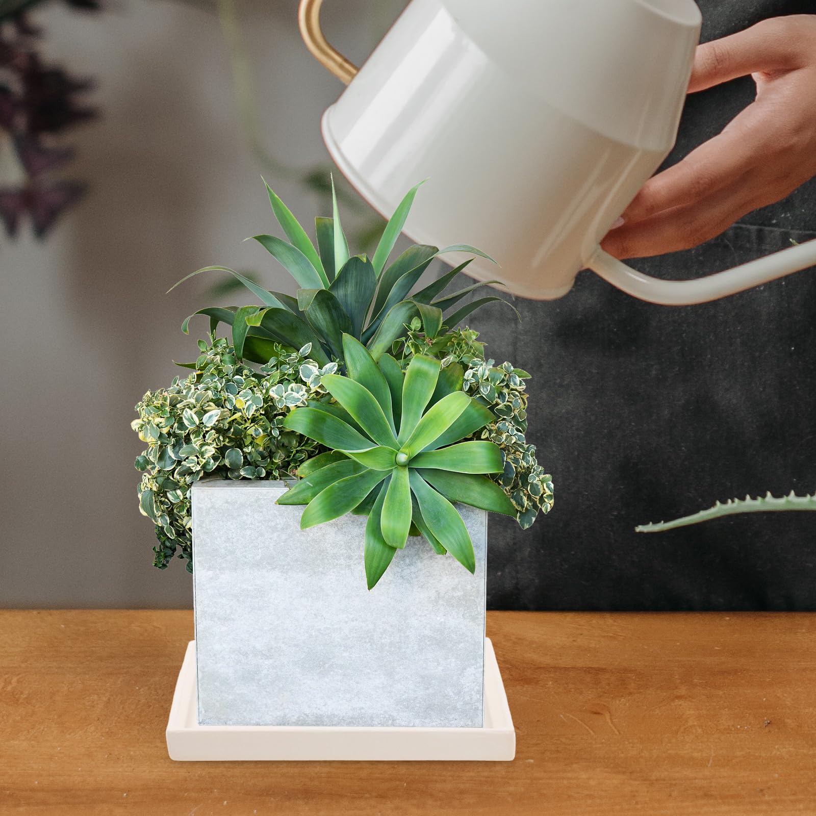 Sottovaso in Ceramica Quadrato Grande, Vassoio di Drenaggio per Piante da Interno, Piatto Vegetale Resistente per Vasi e Fioriere da Tavolo, Accessorio per Giardinaggio Casa
