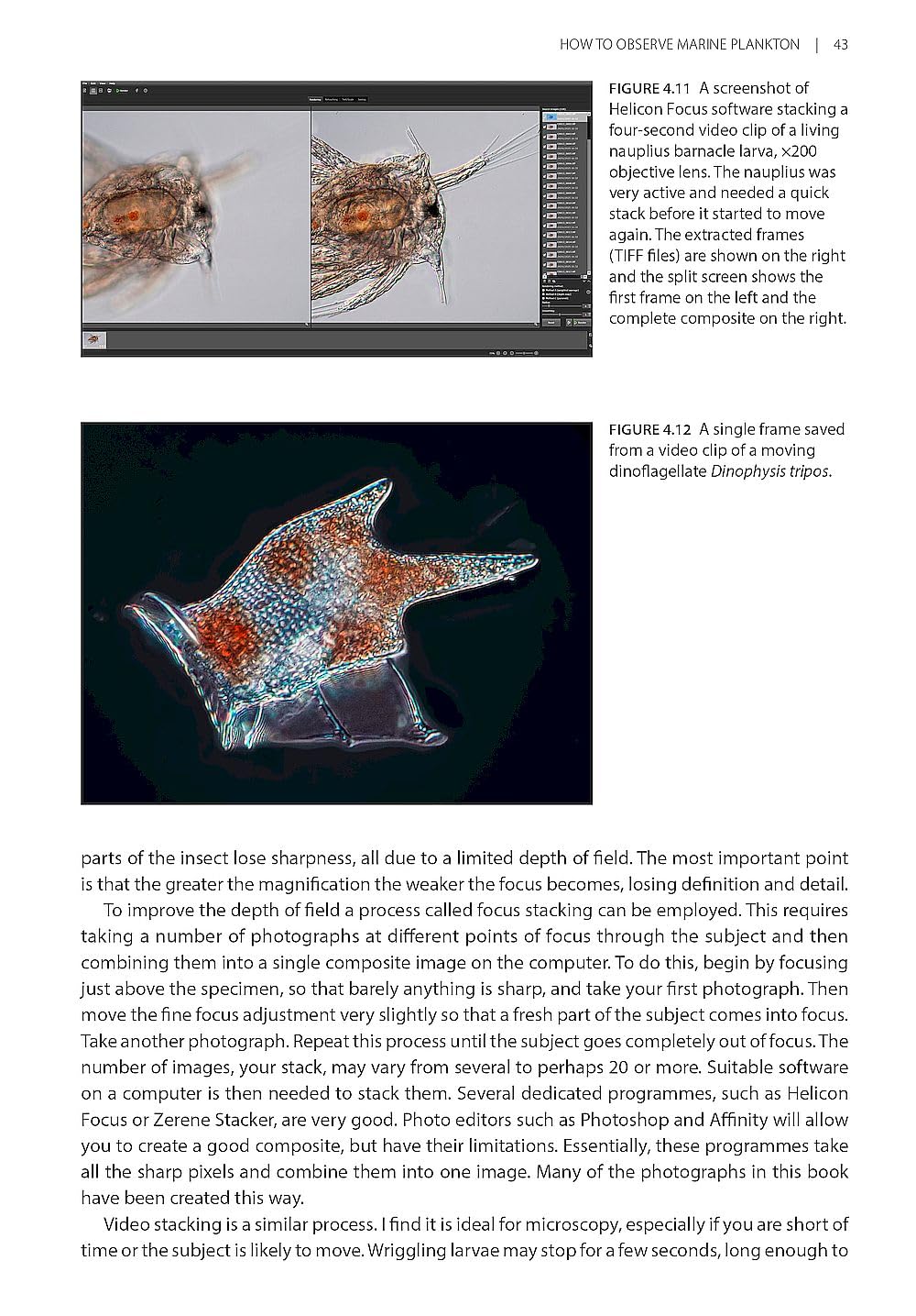Seashore Plankton: A Practical Introduction to Biology and Identification