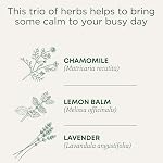 Traditional Medicinals - Camomille bio avec thé à base de lavande (paquet de 1) - Mélange apaisant contenant du baume citron - 16 Total des sacs à thé